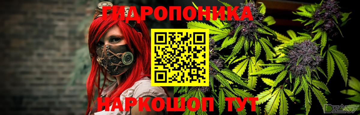 Каннабис планчик Сатка
